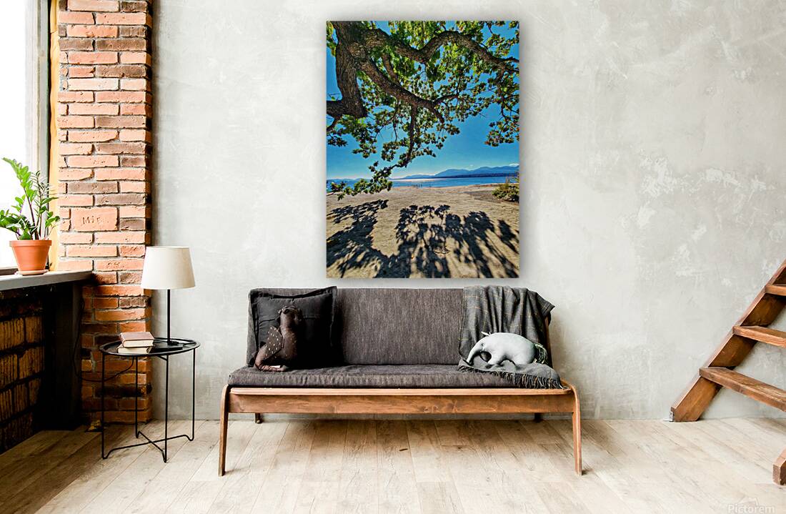 Tree and Shadow - Full Color Reproduction