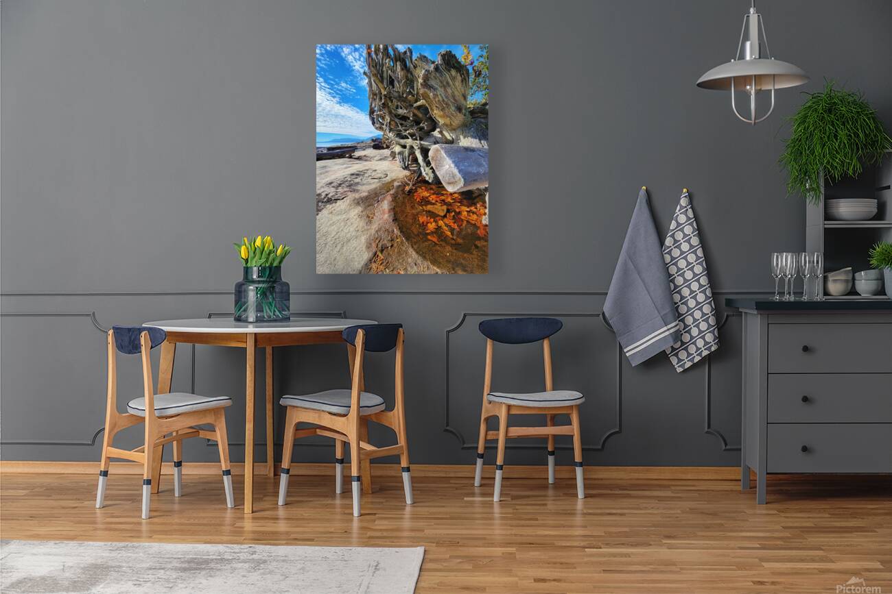 Ocean Leaves Reproduction