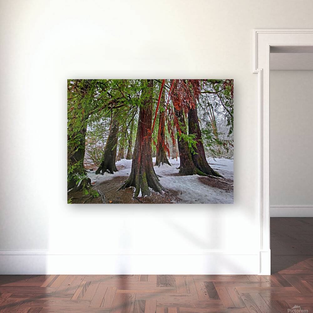 Winter Colors Reproduction