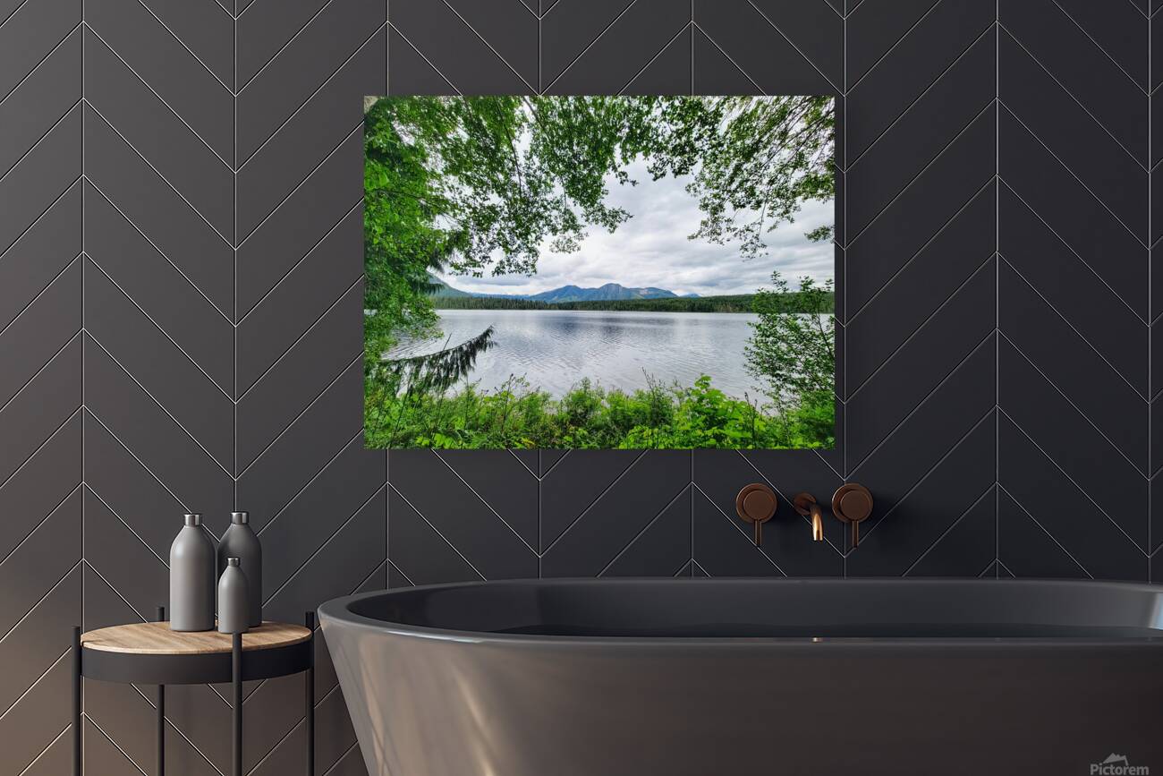 Tree Framed Nature  Reproduction