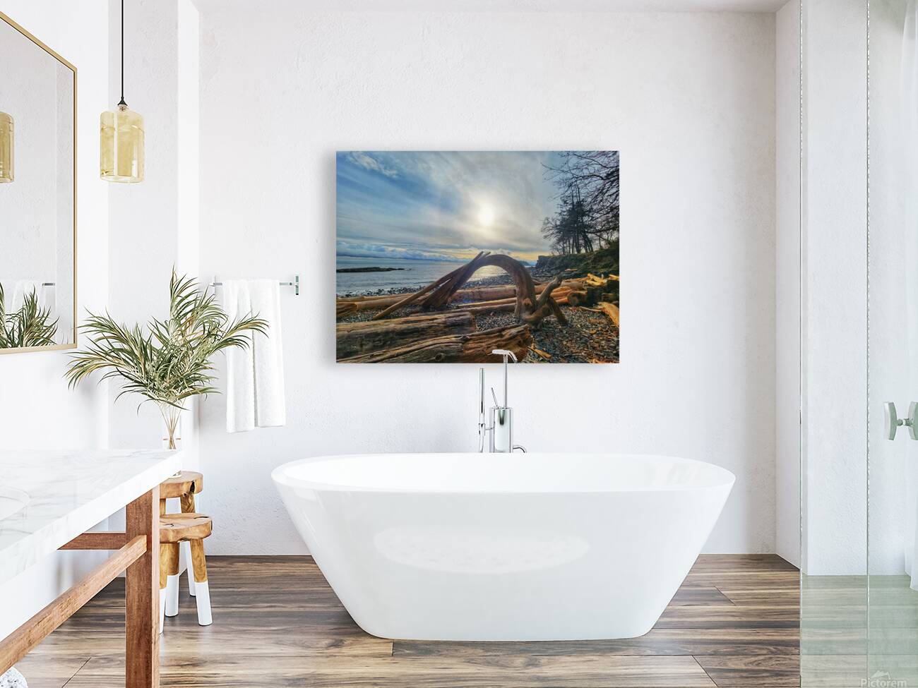 Driftwood  Reproduction