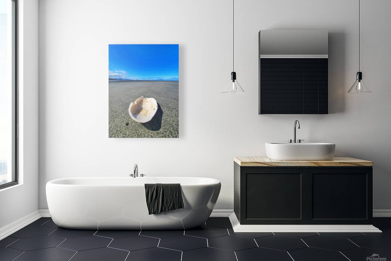 Seashell Reproduction