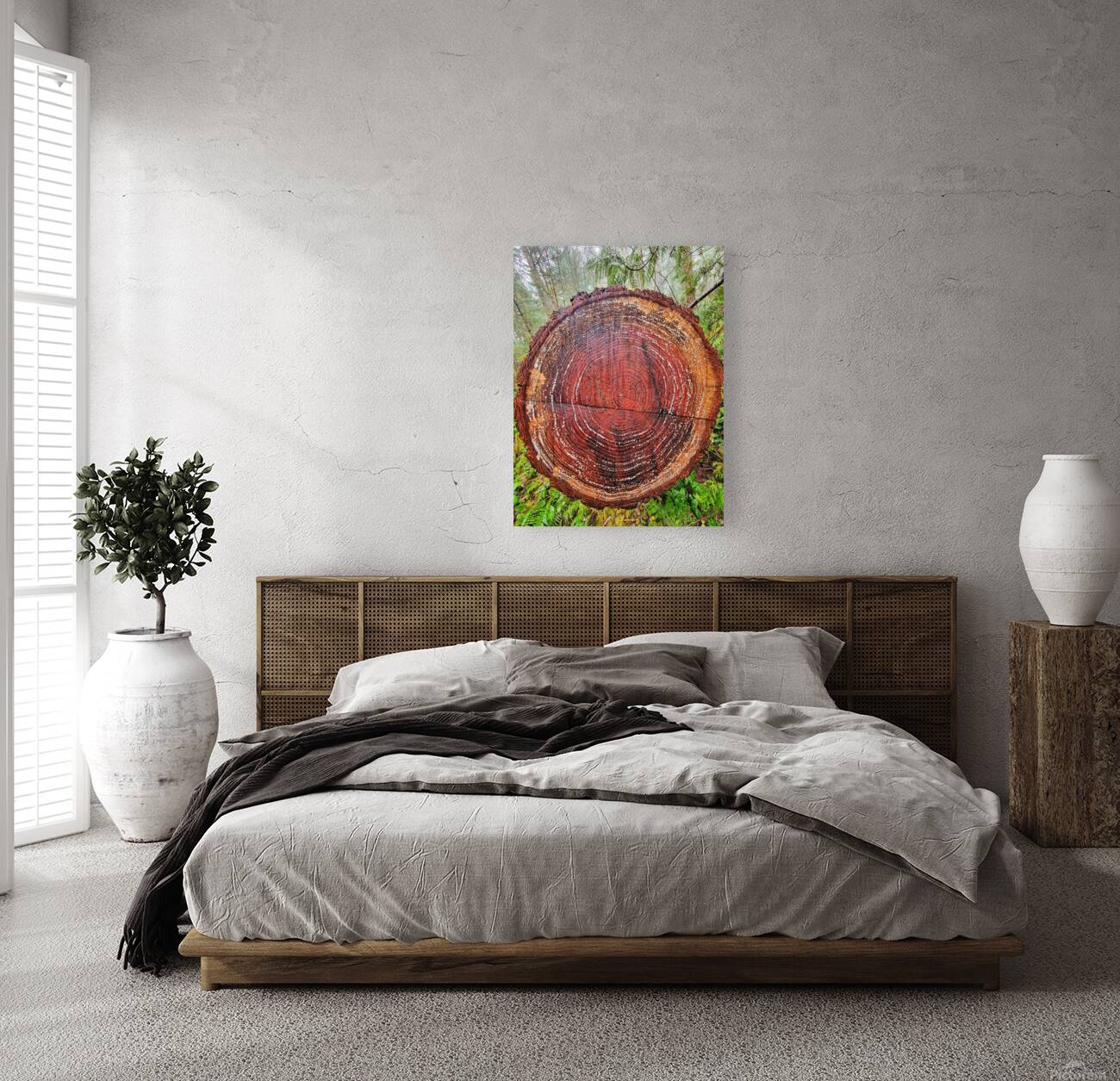 Tree Rings Reproduction