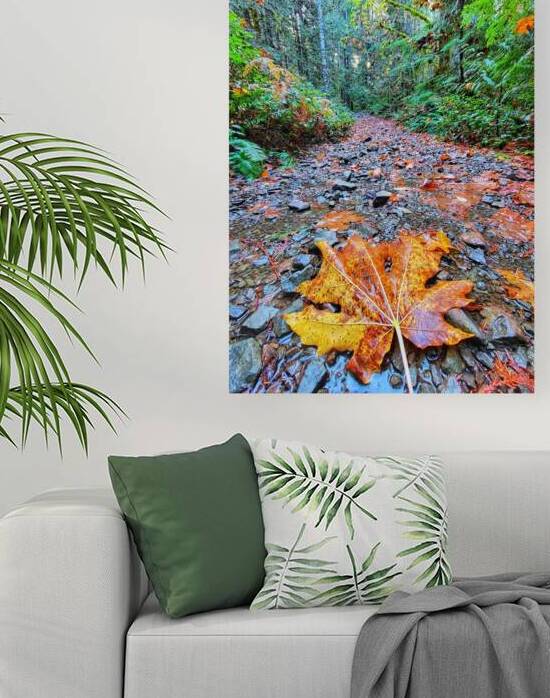 Vibrant Fall Path by Adam Copp