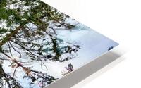 Tree Horse HD Metal print