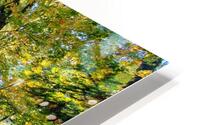 Morning Forest HD Metal print