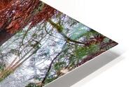 Winter Colors HD Metal print