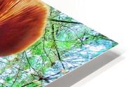 Forest Mushrooms HD Metal print