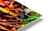Forest Mushrooms HD Metal print