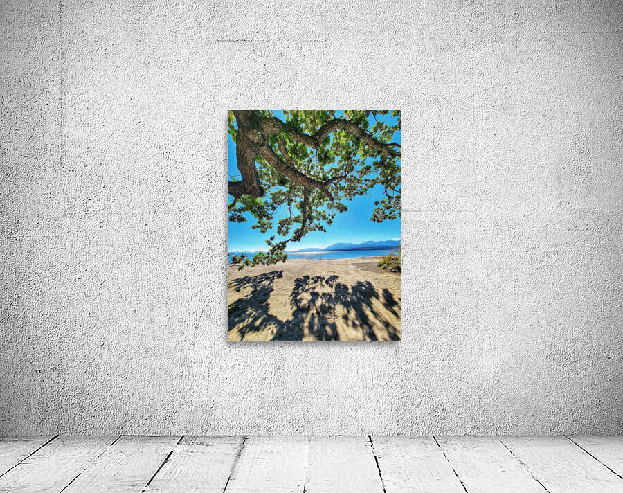 Tree and Shadow - Full Color Wall Preview