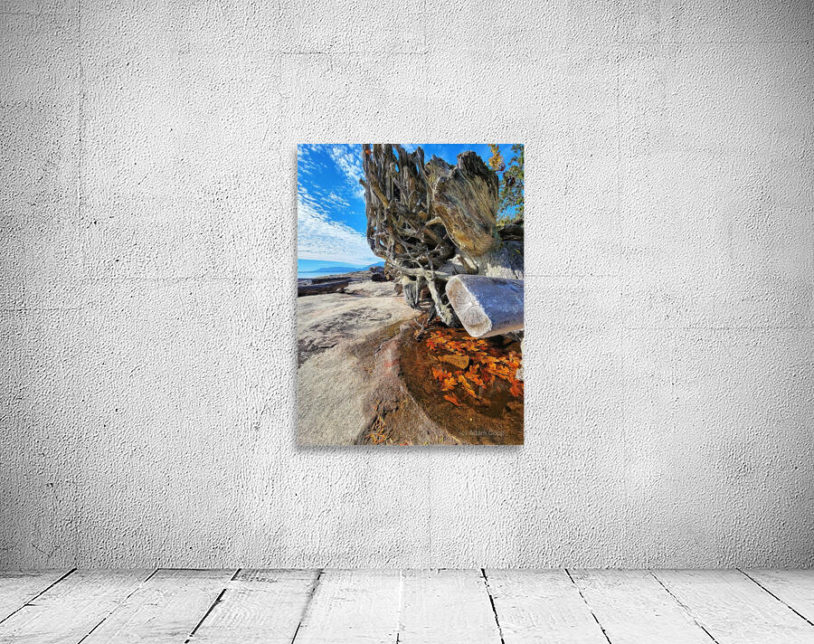 Ocean Leaves Wall Preview