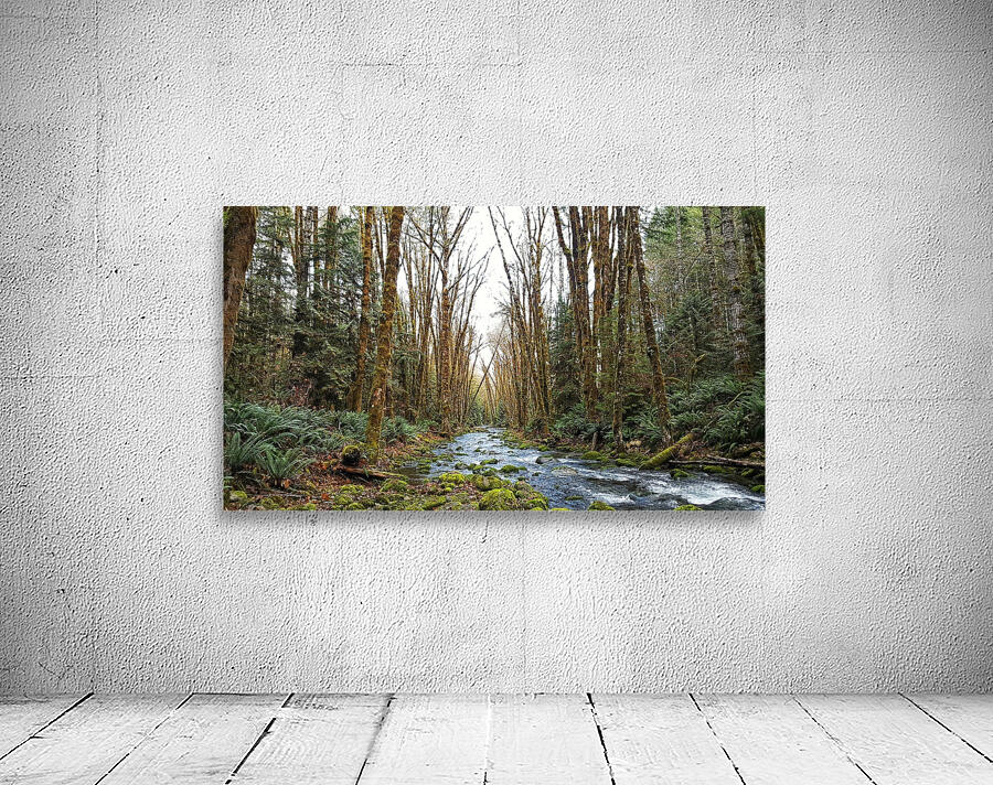 River and Forest Wall Preview