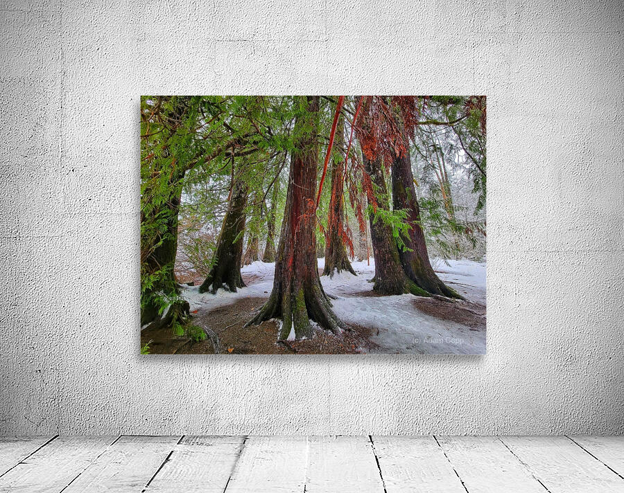 Winter Colors Wall Preview