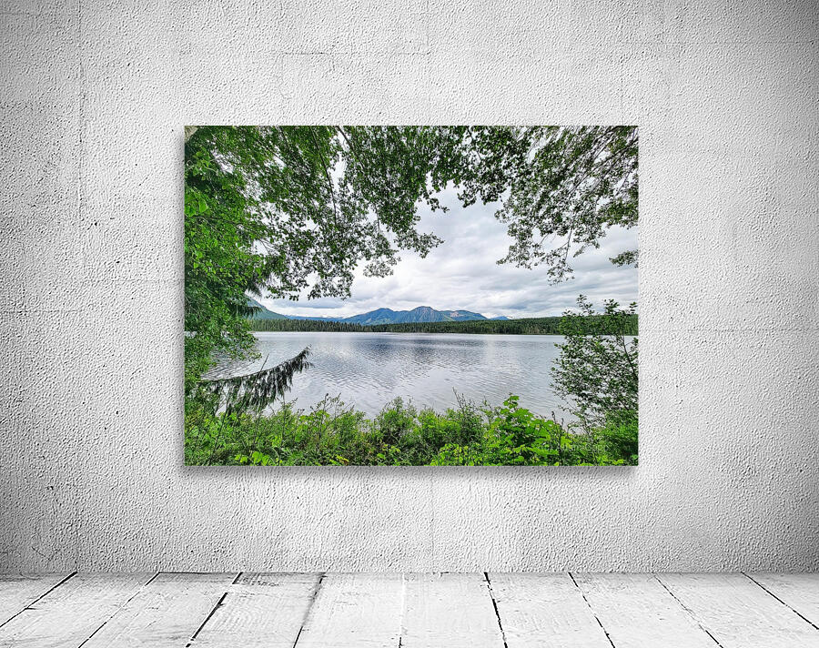 Tree Framed Nature  Wall Preview