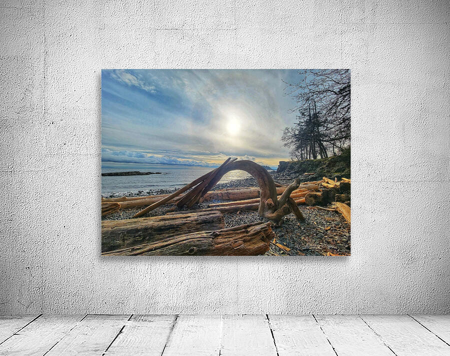 Driftwood  Wall Preview