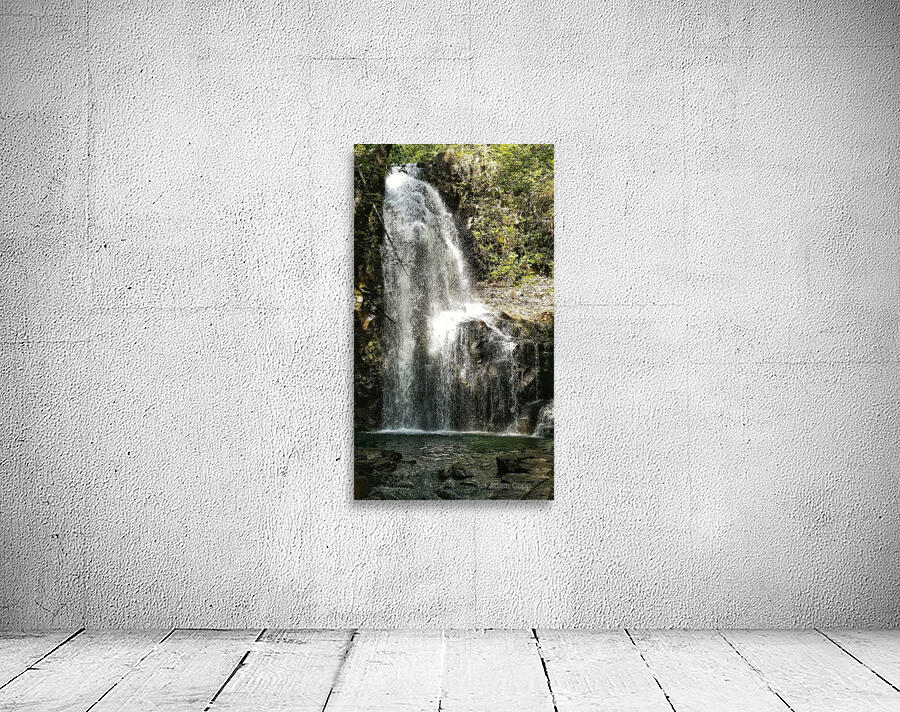 Weiner Falls Port Alberni Wall Preview