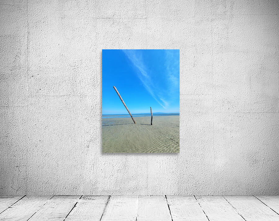 Beach Trees Wall Preview