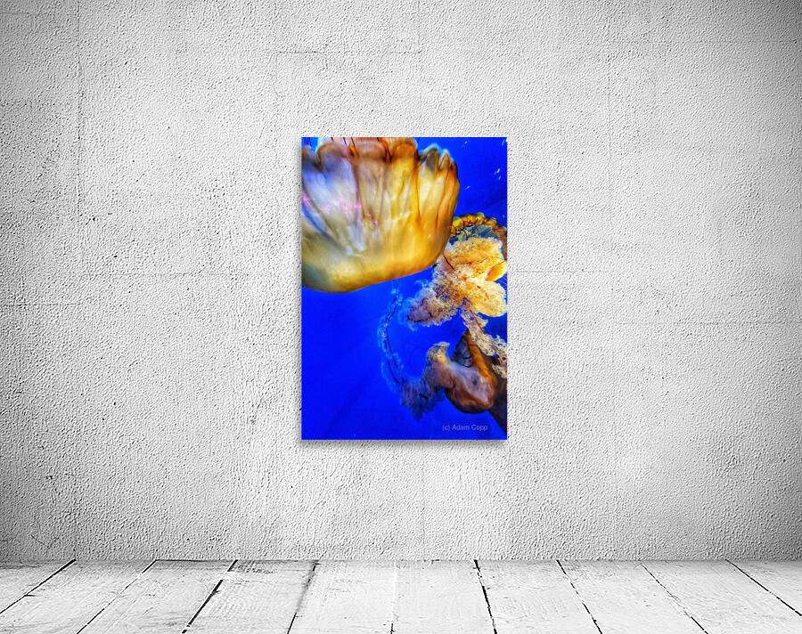 Underwater Jellyfish Wall Preview