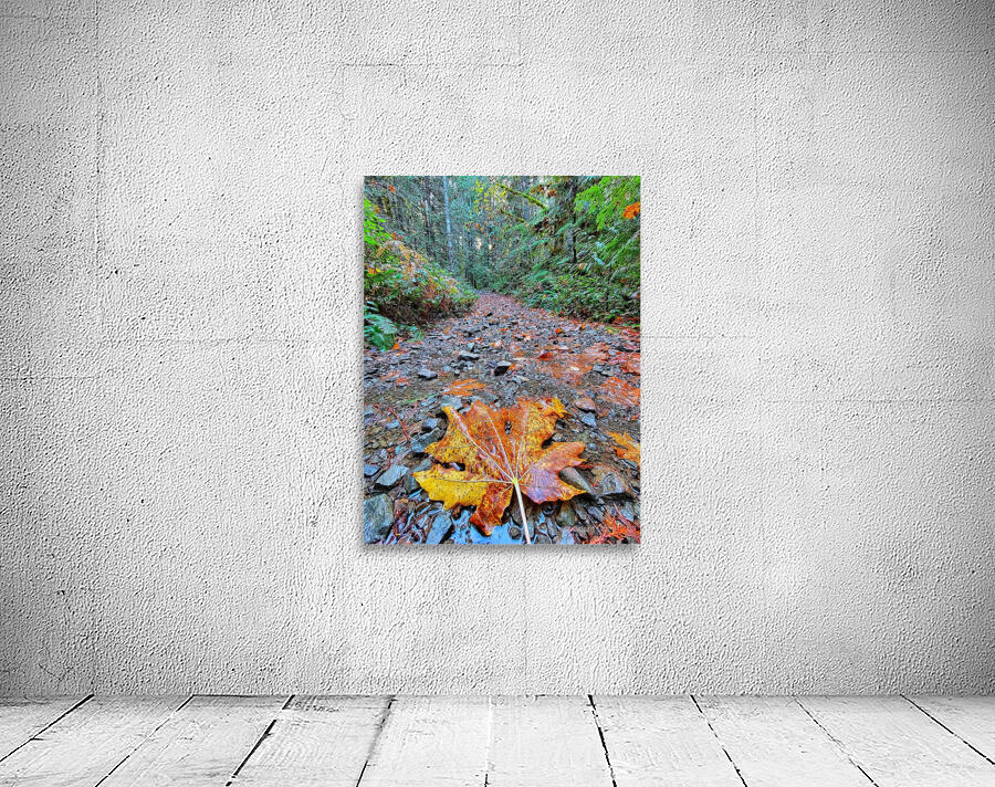 Vibrant Fall Path Wall Preview