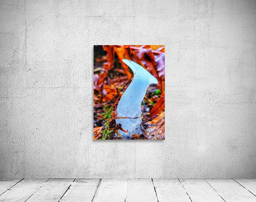 Forest Mushrooms Wall Preview