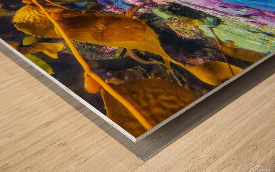 Starfish in the ocean Wood print