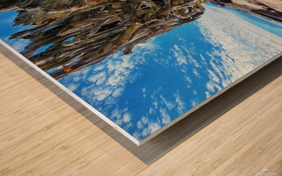 Ocean Leaves Wood print