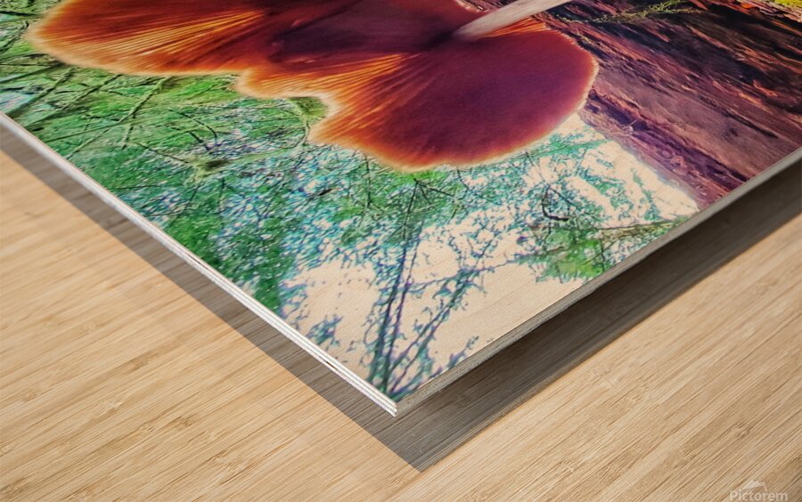 Forest Mushrooms Wood print