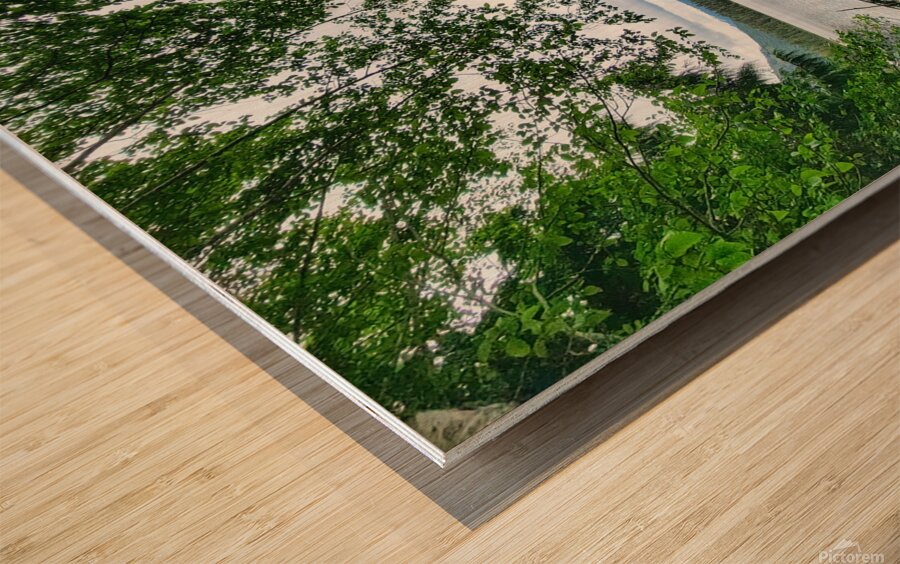 Tree Framed Nature  Wood print