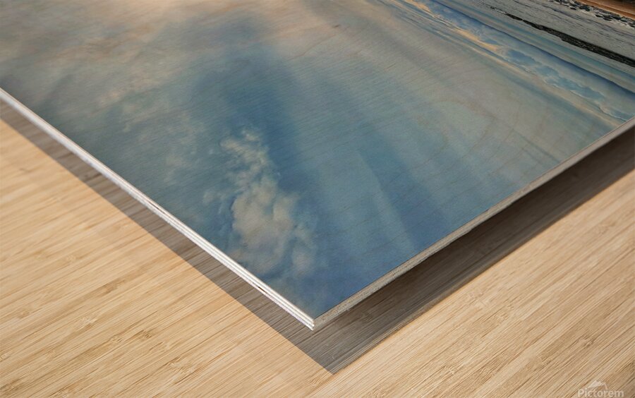 Driftwood  Wood print