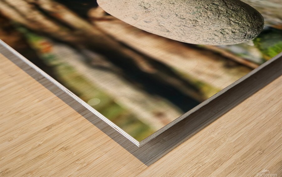 Balancing Rocks Wood print