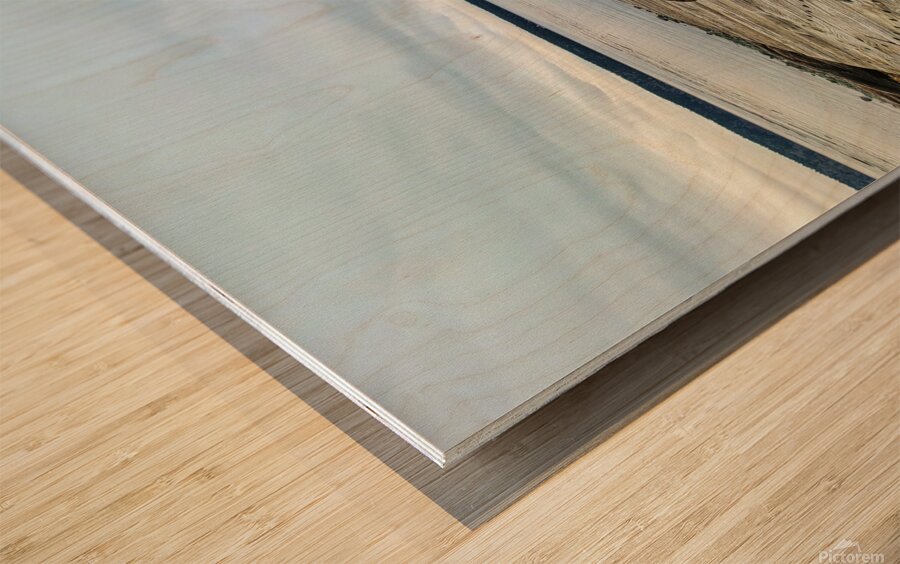 Table Seaside Wood print