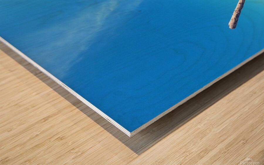 Beach Trees Wood print