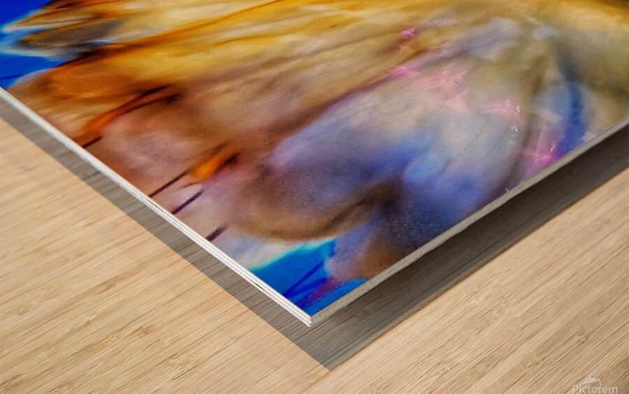 Underwater Jellyfish Wood print