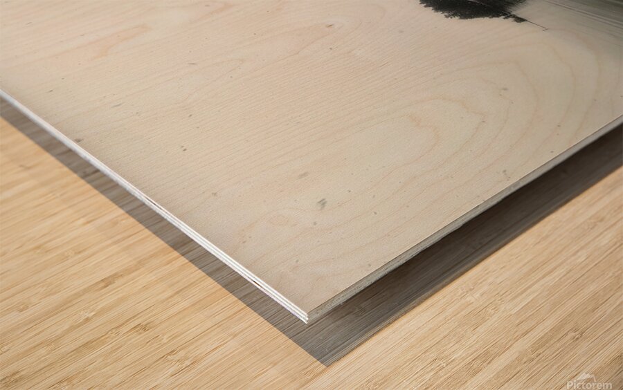 Winter Island Sproat Lake Vancouver Island Wood print