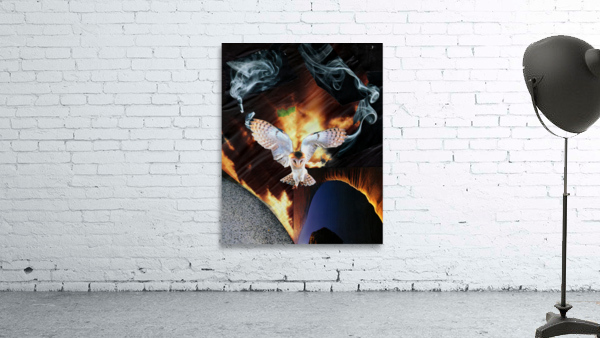 BGDPA Wall Preview