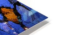 Summer 2021 HD Metal print
