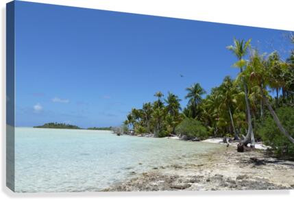 French Polynesia - Rangiroa Blue lagoon middle 2 Canvas Print
