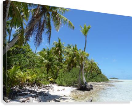 French Polynesia - Rangiroa Blue lagoon paradise 3 Canvas Print