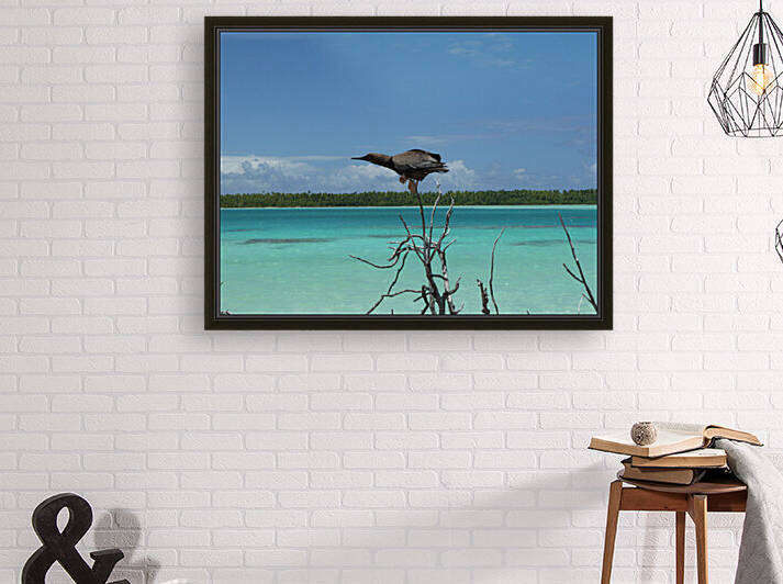 French Polynesia - Mataiva bird on motu 2 by GlobetrotterDB