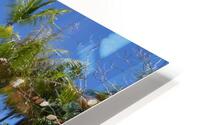 French Polynesia - Rangiroa Blue lagoon middle 2 HD Metal print