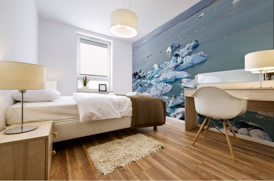 Jokulsarlon Mural print