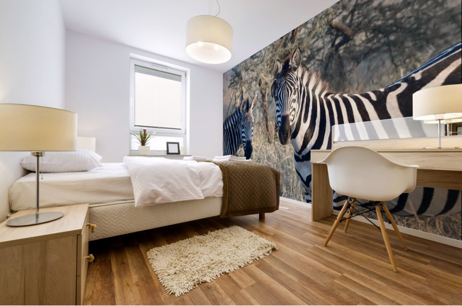 Zebras Mural print