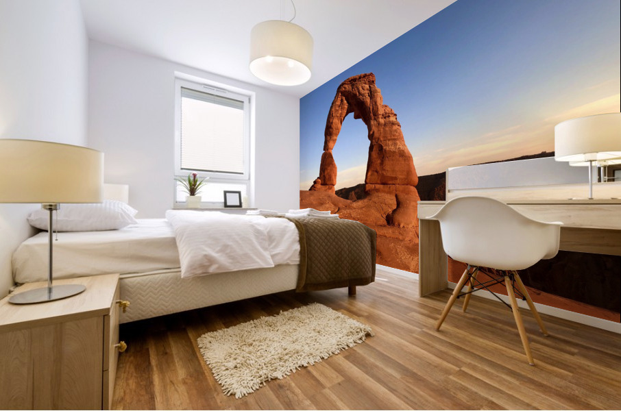 Delicate Arch Mural print