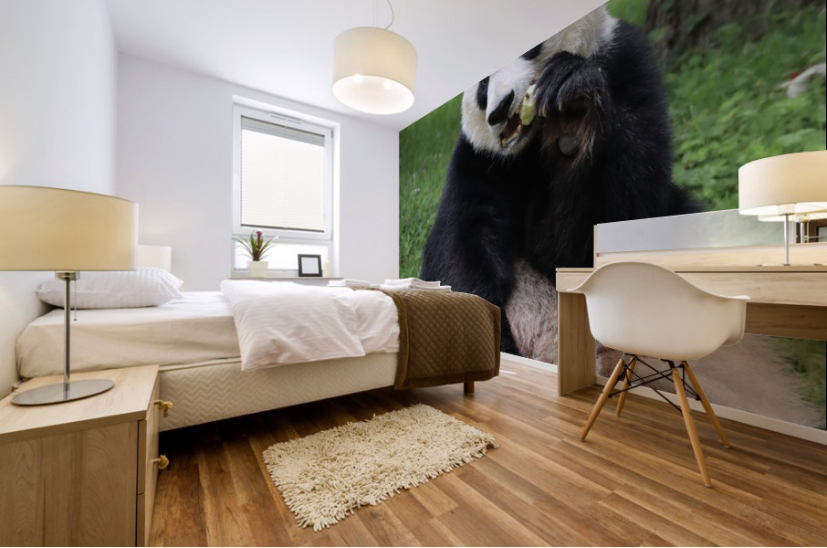 Panda Mural print