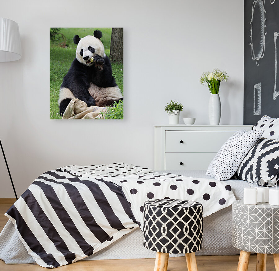 Panda Reproduction