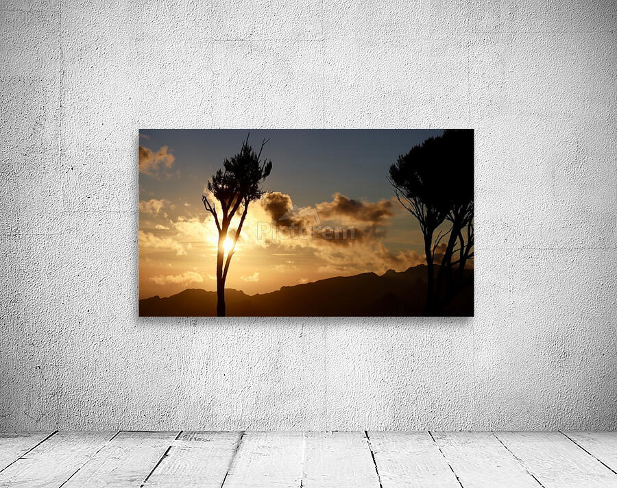Wakanda Sunset Wall Preview