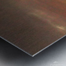 Pelican Sunset Metal print