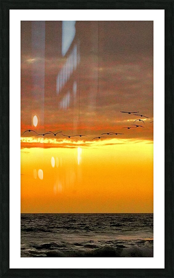 Pelican Sunset Picture Frame print