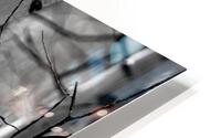 Aspen Curve HD Metal print