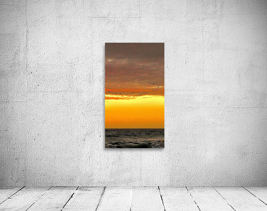 Pelican Sunset Wall Preview